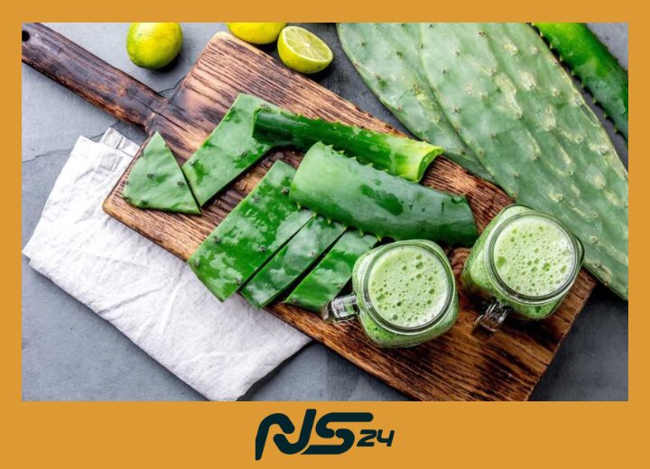 Aloe Vera en Dieta: Digestión Perfecta y Piel Radiante Naturalmente
