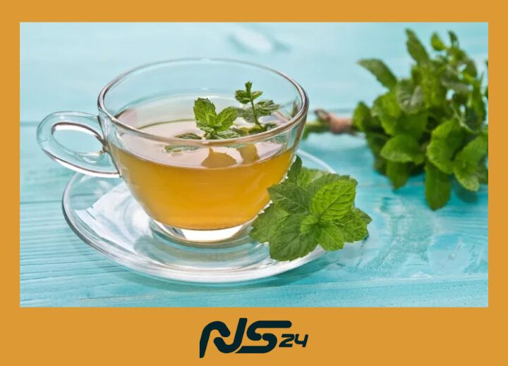 Infusiones de Menta: Alivia Indigestión y Mejora Respiración Diaria