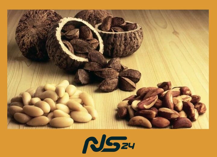 Nuez de Brasil: Selenio para Tiroides Sana y Cabello Fuerte