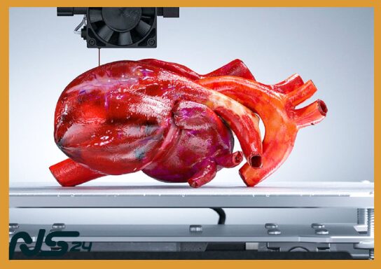 Impresión 3D de Órganos