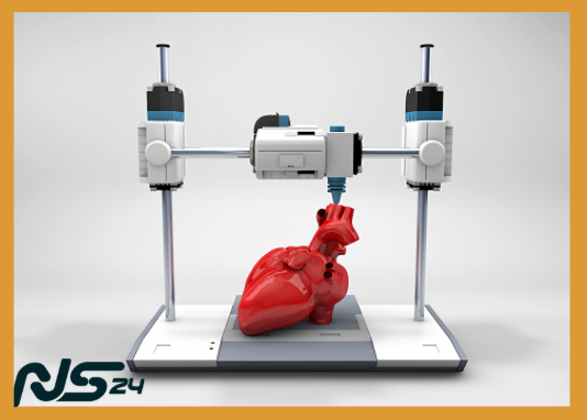 image 175 | Impresión 3D de Órganos