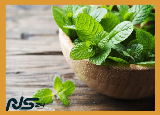 Menta Fresca