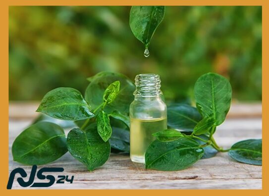 image 70 9 | Aceite de Árbol de Té