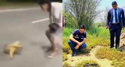 Investigan a motorizados por brutal maltrato contra un oso melero en Barcelona, Anzoátegui
