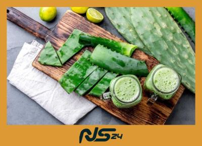 Aloe Vera en Dieta: Digestión Perfecta y Piel Radiante Naturalmente