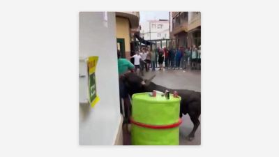 Muere un hombre tras ser corneado en los toros ensogaos de San Marcos en Andalucía