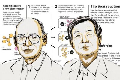 Nobel de Química 2026: Henri Kagan y Kenso Soai ganan por explicar cómo surgen las moléculas «de una sola mano»