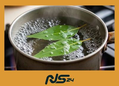 Eucalipto en Vapor: Congestión Nasal Aliviada en Minutos Caseros