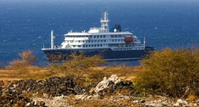 OMS revela que paciente cero del crucero con hantavirus se contagió en Argentina
