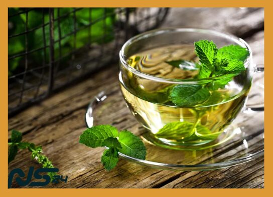 Infusiones de Menta