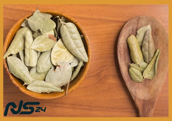 Infusión de Boldo