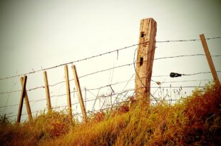 Fence Filtered »