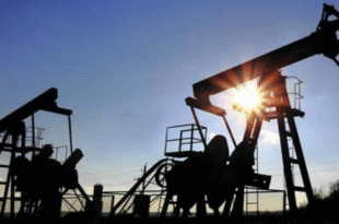 petroleo venezuela noticias24 » Cáscaras de Cebolla