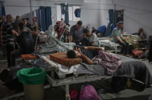 guerra gaza noticias24 » Instagram
