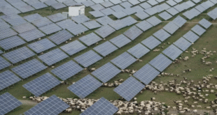 china energia noticias24 » energía solar