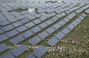 china energia noticias24 » energía solar
