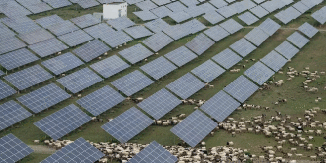 china energia noticias24 » energía solar