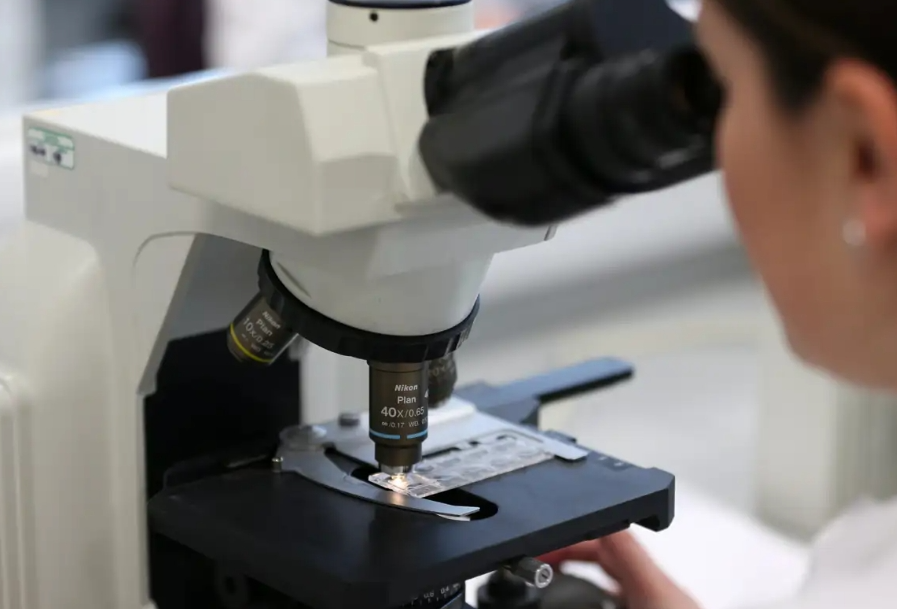 Científicos Presentan “Delphi-2M”, el ChatGPT de la Salud que Predice Más de 1.000 Enfermedades » efecto umbral medicina ia noticias24 » efecto umbral