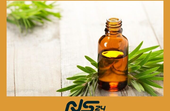 Aceite de Arbol de Te | Aceite de Árbol de Té