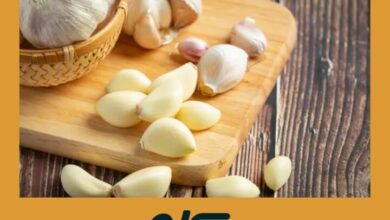 Ajo Crudo Potente: Antibiótico Natural contra Infecciones Comunes | Jengibre y Cúrcuma Ajo Crudo Potente 1 | Jengibre y Cúrcuma