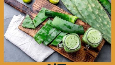Aloe Vera en Dieta: Digestión Perfecta y Piel Radiante Naturalmente | Yoga para Corredores Aloe Vera en Dieta | Yoga para Corredores
