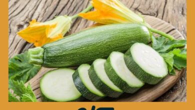 Calabacin Organico | Menta Fresca