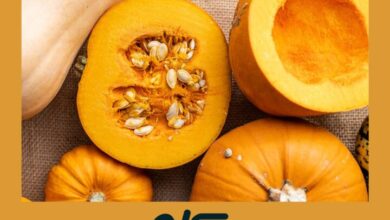 Calabaza en Otono | Menta Fresca