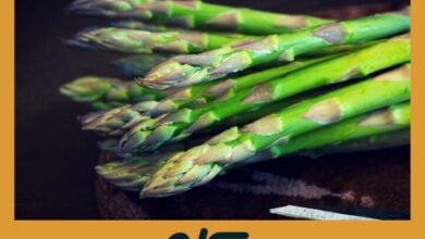 Espárragos Verdes: Diuréticos Naturales para Retención de Líquidos | Impresión 3D de Órganos Esparragos Verdes | Impresión 3D de Órganos