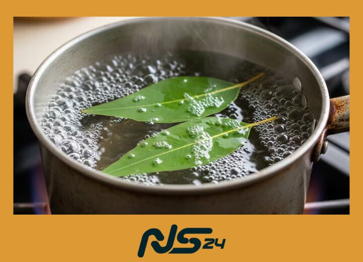 Eucalipto en Vapor: Congestión Nasal Aliviada en Minutos Caseros | Eucalipto en Vapor Eucalipto en Vapor | Eucalipto en Vapor