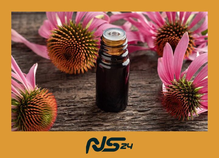 Hierbas para Inmunidad: Equinácea que Previene Resfriados Estacionales | Hierbas para Inmunidad Hierbas para Inmunidad 1 | Hierbas para Inmunidad