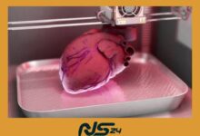 Impresion 3D de Organos 1 | Wikelman