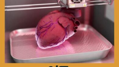 Impresión 3D de Órganos: Primer Corazón Humano Impreso Exitoso | FDA Impresion 3D de Organos 1 | FDA