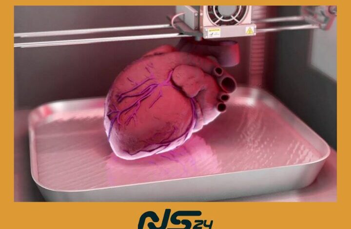 Impresion 3D de Organos 1 | Impresión 3D de Órganos