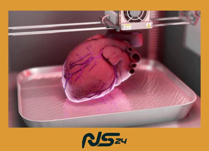 Impresión 3D de Órganos: Primer Corazón Humano Impreso Exitoso | Impresión 3D de Órganos Impresion 3D de Organos 1 | Impresión 3D de Órganos