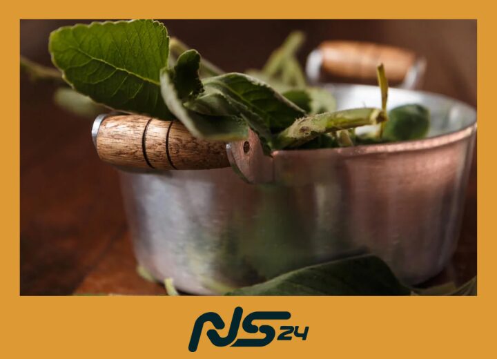 Infusion de Boldo | Infusión de Boldo