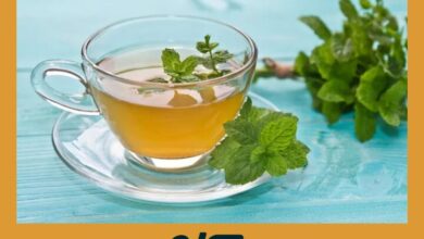 Infusiones de Menta | Aceites Esenciales