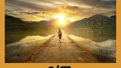 Meditacion Activa | FDA