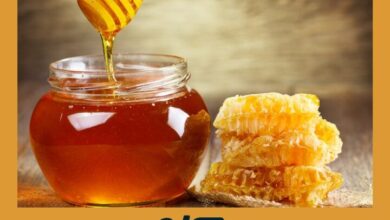 Miel Manuka Pura: Cura Heridas y Fortalece el Sistema Inmune | Wearables para Deportistas Miel Manuka Pura | Wearables para Deportistas