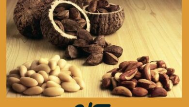 Nuez de Brasil: Selenio para Tiroides Sana y Cabello Fuerte | Aceites Esenciales Nuez de Brasil | Aceites Esenciales