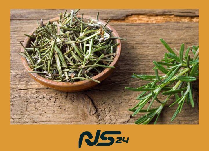 Romero para Memoria: Hierba que Mejora Concentración en Estudiantes | Romero para Memoria Romero para Memoria | Romero para Memoria