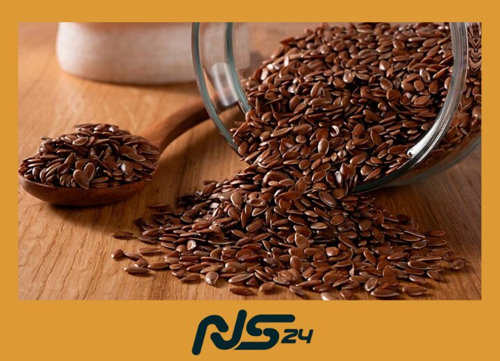 Semillas de Lino | Semillas de Lino