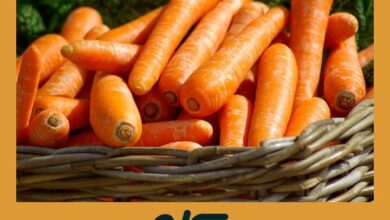 Zanahorias Organicas | Espirulina Verde