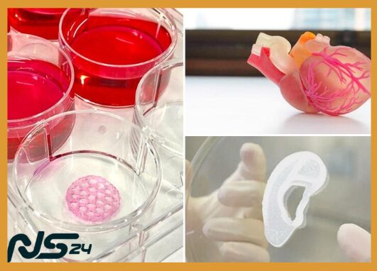 Impresión 3D de Órganos: Primer Corazón Humano Impreso Exitoso | Impresión 3D de Órganos image 174 3 | Impresión 3D de Órganos