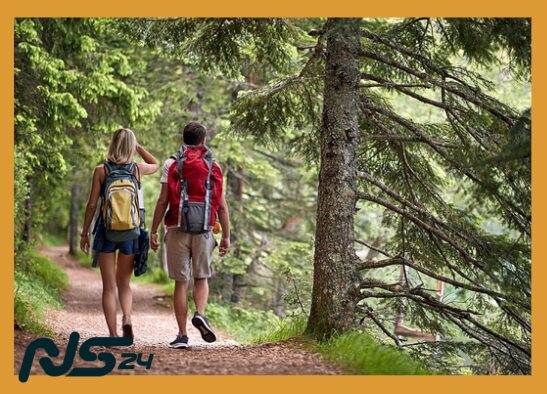 Senderismo Ligero: Caminatas que Queman Grasa sin Esfuerzo Extremo | Senderismo Ligero image 29 7 | Senderismo Ligero