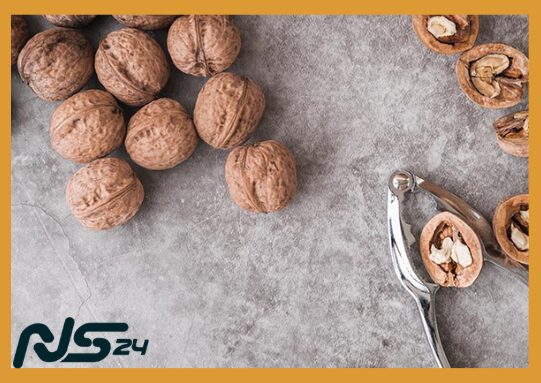 Nueces Mixtas: Ácidos Grasos para Cerebro Agudo y Memoria Fuerte | Nueces Mixtas image 56 7 | Nueces Mixtas