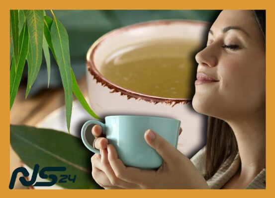 Eucalipto en Vapor: Congestión Nasal Aliviada en Minutos Caseros | Eucalipto en Vapor image 64 1 | Eucalipto en Vapor