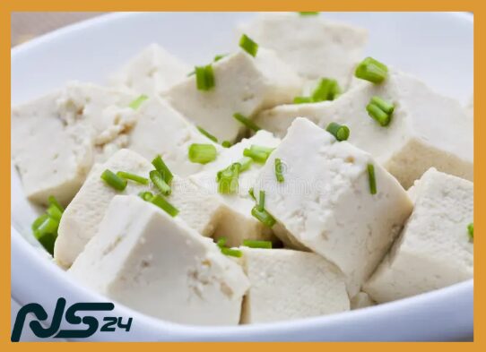 Tofu Fermentado: Probióticos para Flora Intestinal Equilibrada | Tofu Fermentado Tofu Fermentado