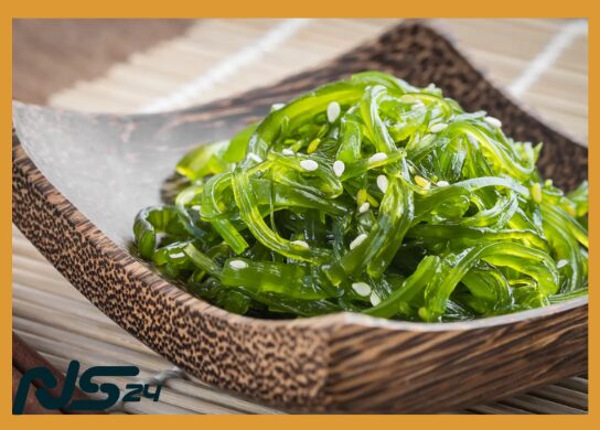 Algas Wakame: Yodo Natural para Metabolismo Acelerado y Peso | Algas Wakame image 68 7 | Algas Wakame