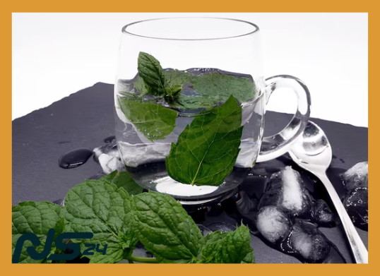 Menta Fresca: Alivia Dolores de Cabeza sin Pastillas Analgésicas | Menta Fresca image 71 | Menta Fresca