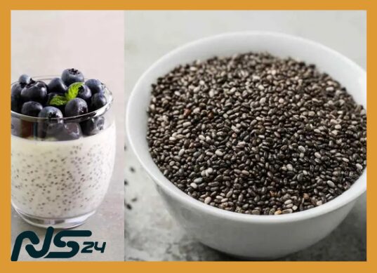 Semillas de Chía: Fibra que Sacieta y Mejora Digestión Intestinal | Semillas de Chía Semillas de Chía